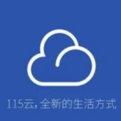 115网盘