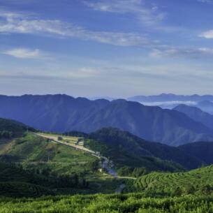 郫都区