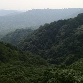 发鸠山