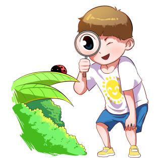 涟源市金石镇中心小学