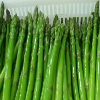福安绿笋