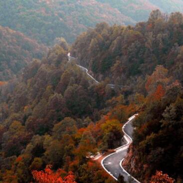 甘山森林公园