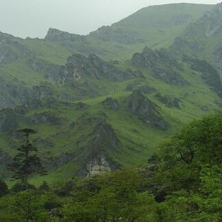 平定冠山森林公园