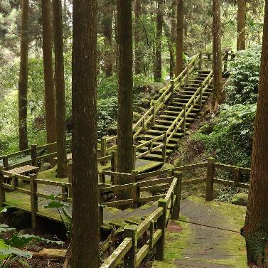 阿里山风景区