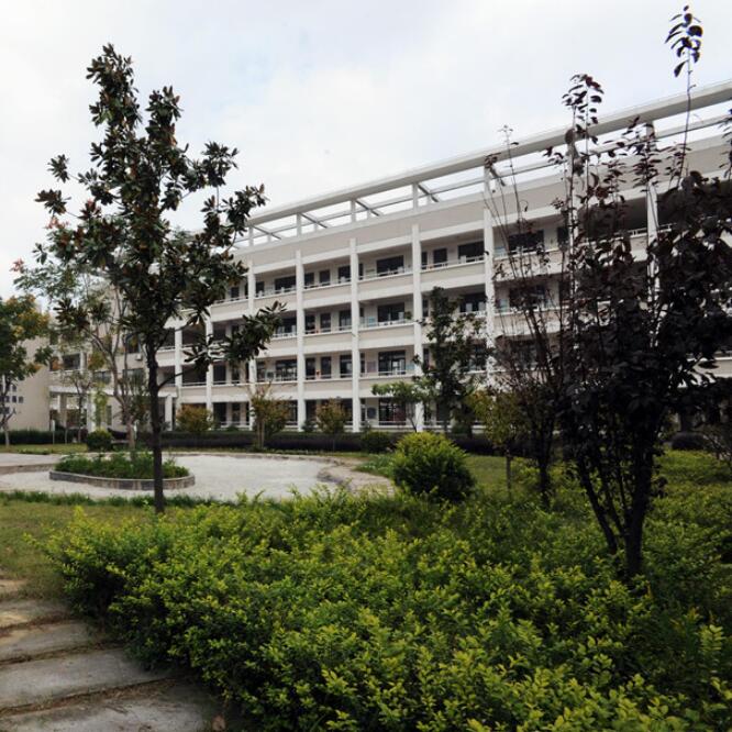 绍兴市灵芝镇中心小学