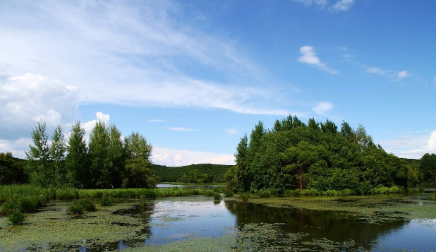 菱湖风景区