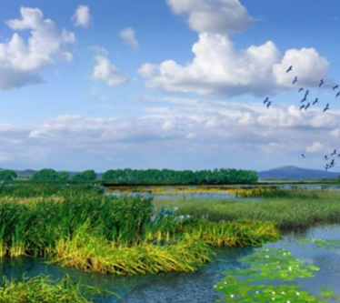 三江平原湿地宣教馆