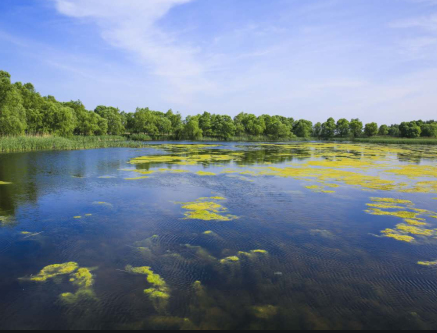 安邦河湿地公园