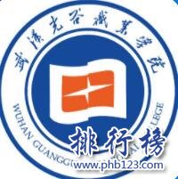 武汉光谷职业学院