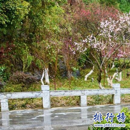 桃花源风景名胜区