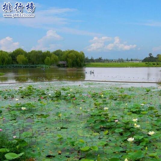 碧云花园十里水乡