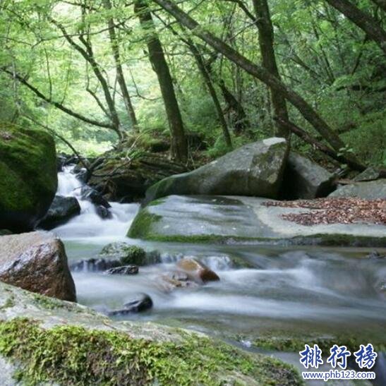 平利千家坪森林公园