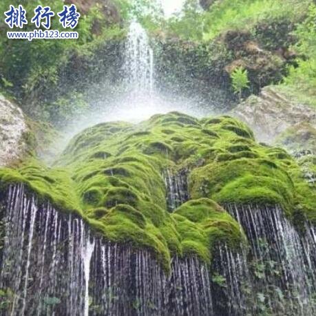 镇安木王国家森林公园