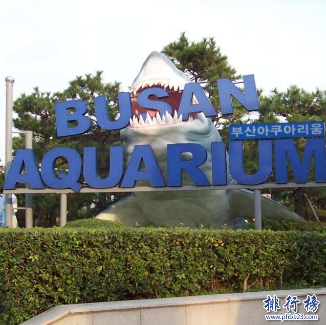 釜山水族馆