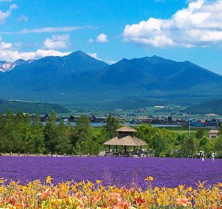 富良野