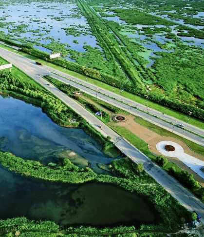 黑龙江龙凤湿地