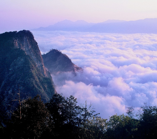 阿里山