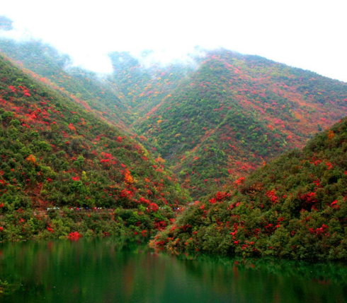 十堰五龙河