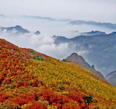 垣曲历山