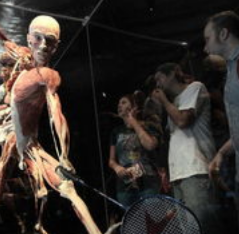 Body Worlds