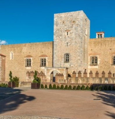 Palais des Rois de Majorque