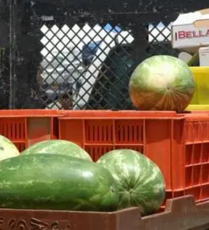 Monument to Watermelon