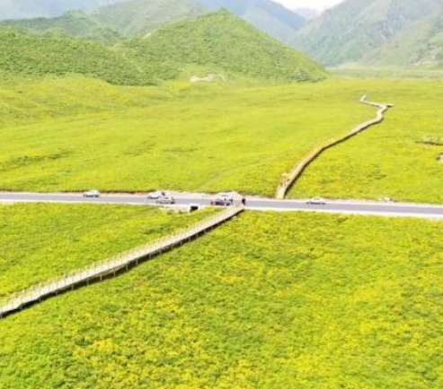 黄草坪风景区