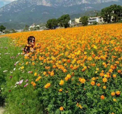 上饶县灵山花千谷景区