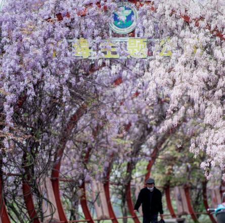 铅山城东滨江公园