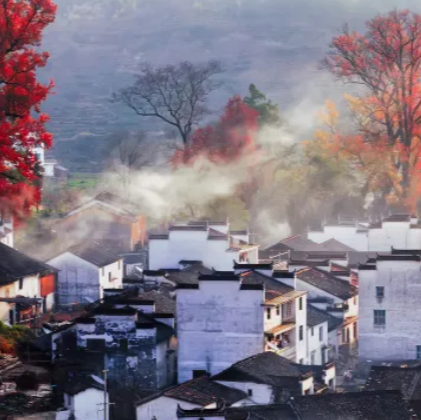 石城红枫叶景区