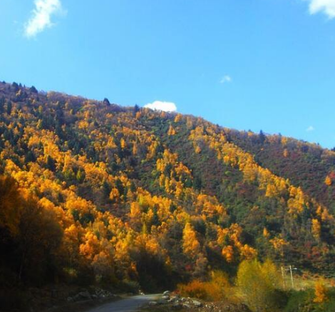 水峡森林旅游风景区