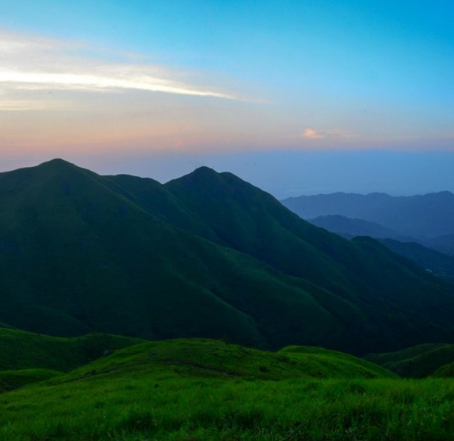 高山草甸