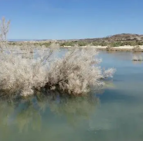 托索湖