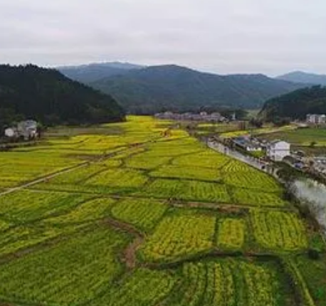 礼芳古村