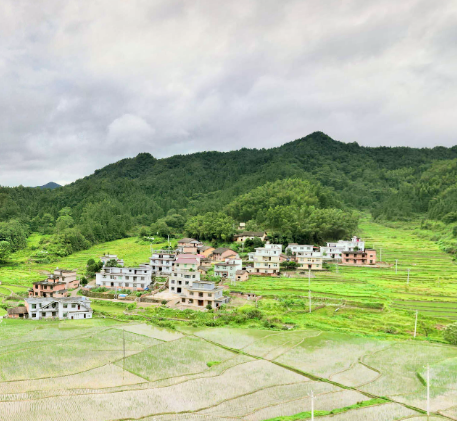 张佳坊乡瞿田村