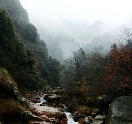 莲花洞森林公园