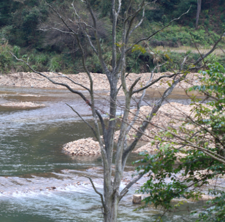 阳际峰自然保护区