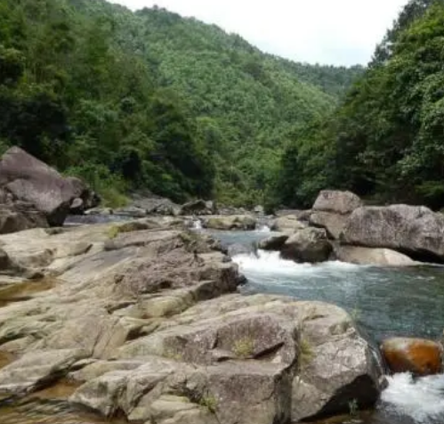 防城区红豆谷