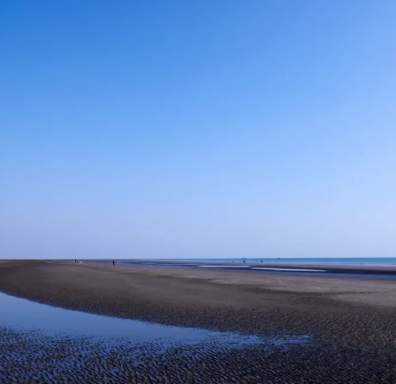 山新沙滩