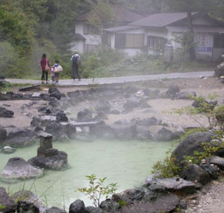 淄博高青温泉花乡景区