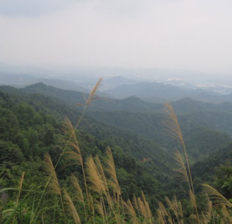 安峰山