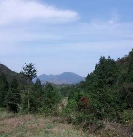 林山