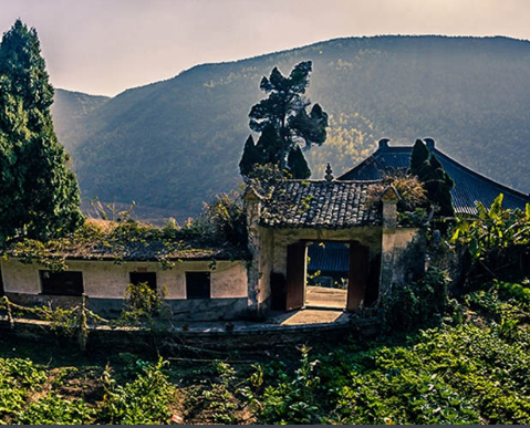 杨岐寺