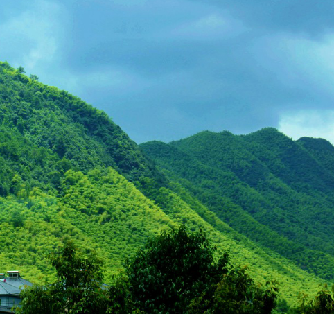 安吉龙王山