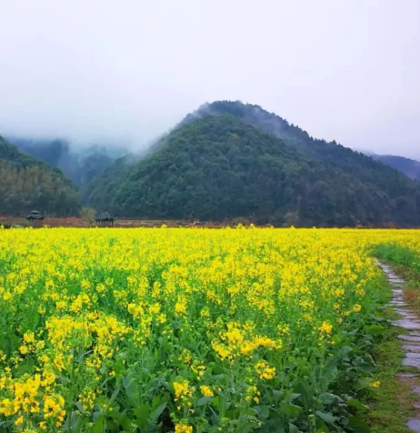 十里瑶湾