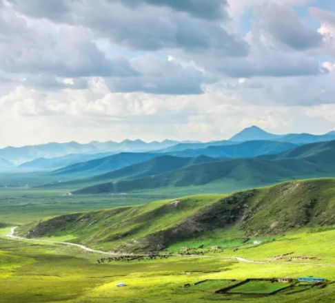 阿万仓湿地