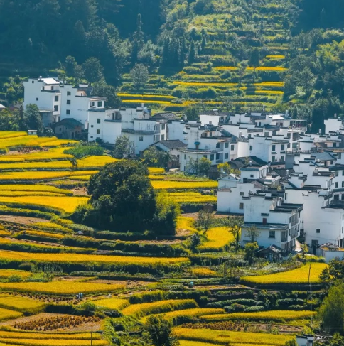 婺源山