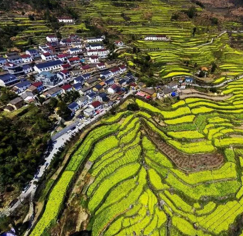 建德胥岭村