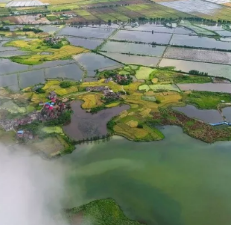 柴桑区东湖