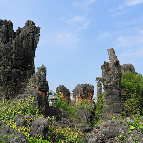 青山石林